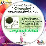 เค เค บิวติ คลอรอยบอส