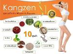 คังเซน เอส วัน  (Kangzen S1)