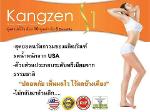 คังเซน เอส วัน  (Kangzen S1)